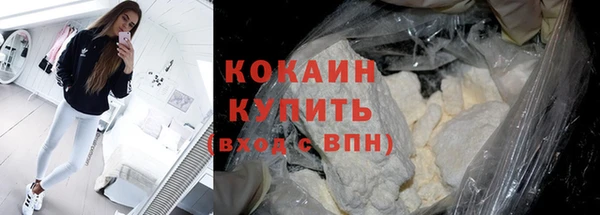 крисы Баксан