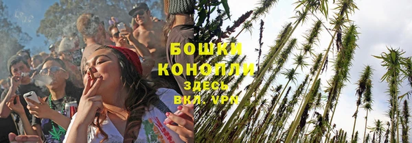 гидропоника Белокуриха